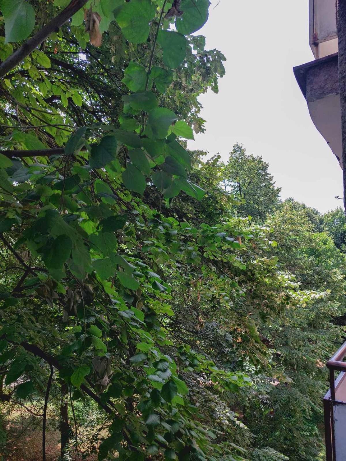Apartman Rejna SJJ Buitenkant foto