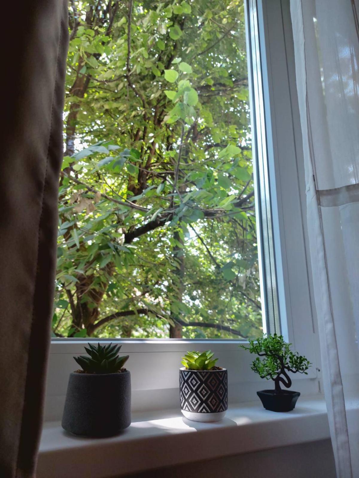 Apartman Rejna SJJ Buitenkant foto